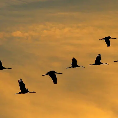 Sonnenschein 度假居