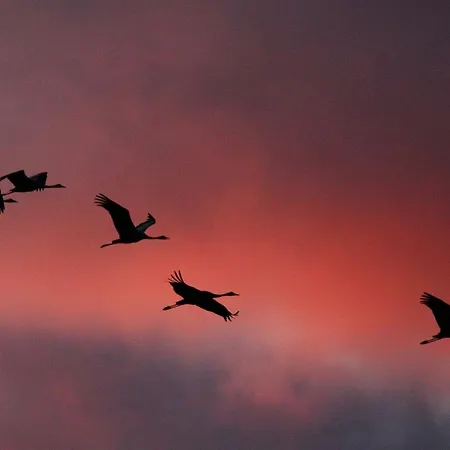 Sonnenschein 度假居